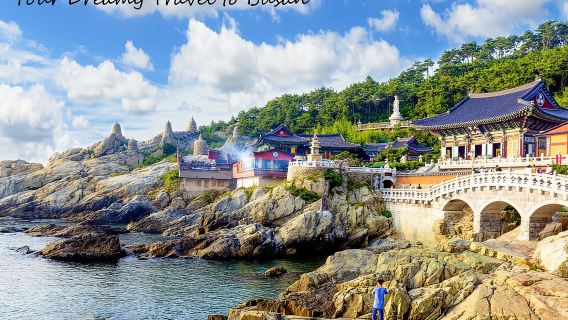 Cruise Layover : Small Group Busan Highlight Day Tour