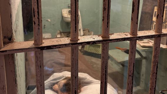 Official Alcatraz Island Prison Tour and San Francisco Bay Cruise