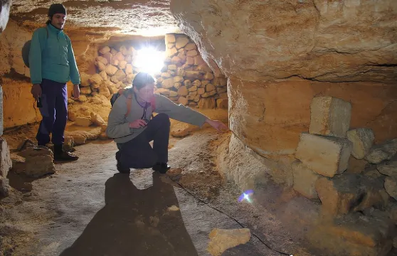 敖德薩野貓地下墓穴