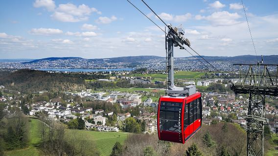 Zurich and surroundings guided tour