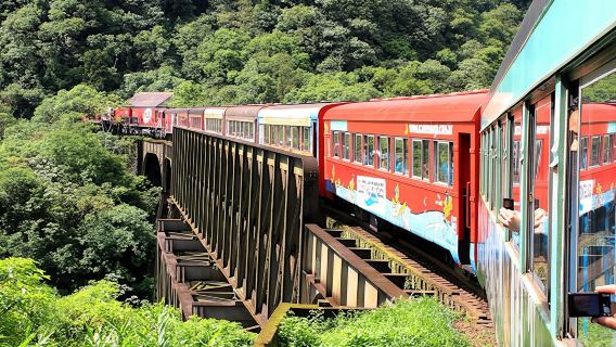 Morretes guided excursion by train with typical lunch