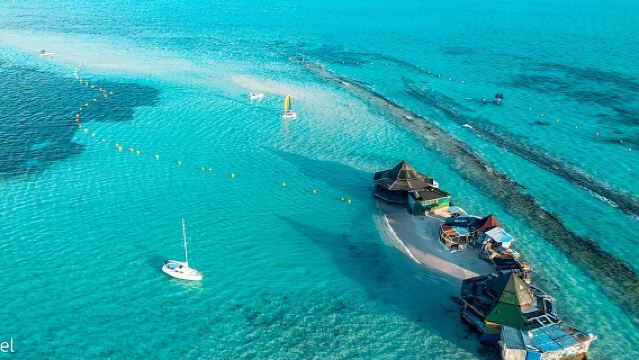 ジョニーケイと水族館の自然を満喫する1日セミプライベートボート