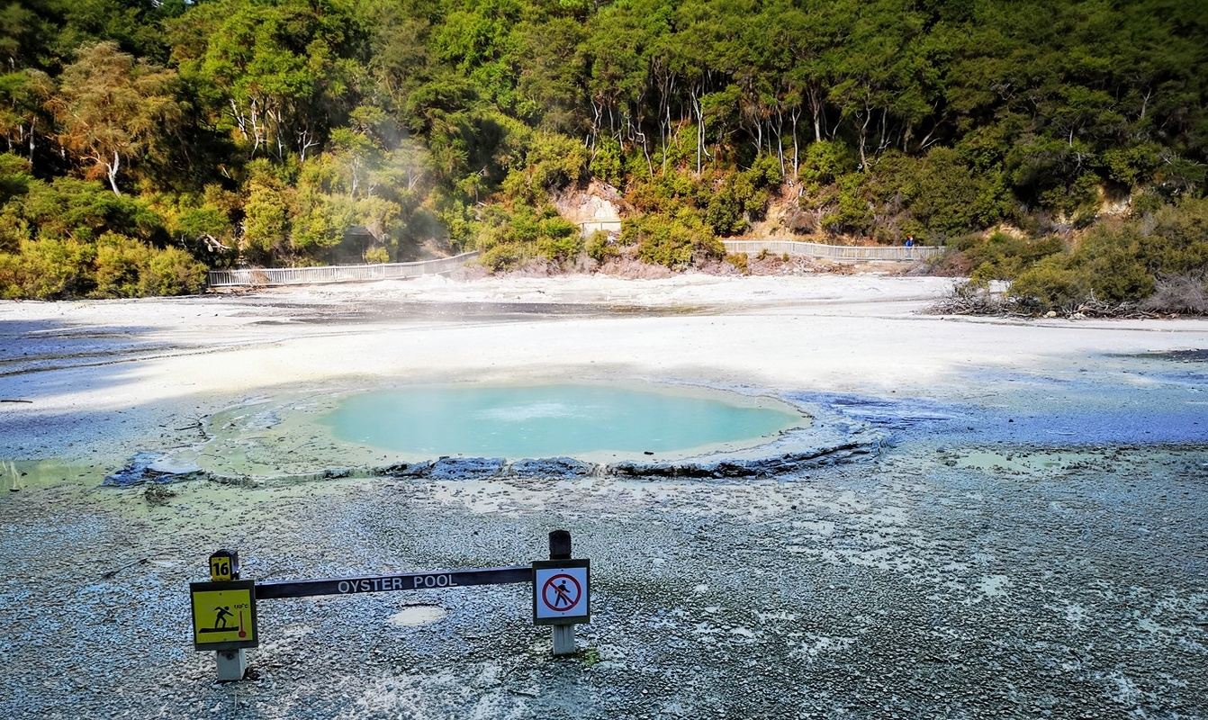 新西蘭羅托魯瓦地熱奇觀 奧克蘭出發 可多日遊