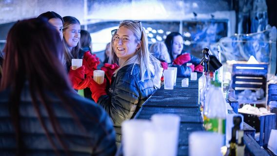 Pengalaman di Berlin Icebar Termasuk 3 minuman