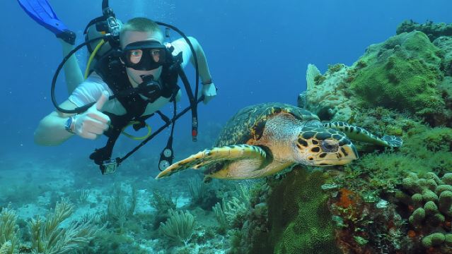 Scuba Diving Under Water Museum and Reef for beginners