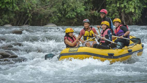 沙巴+哥打京那巴魯+九魯河一日遊