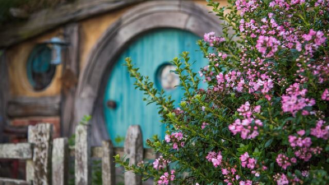 Hobbiton Movie set & Waitomo Caves Small Group Tour From Auckland