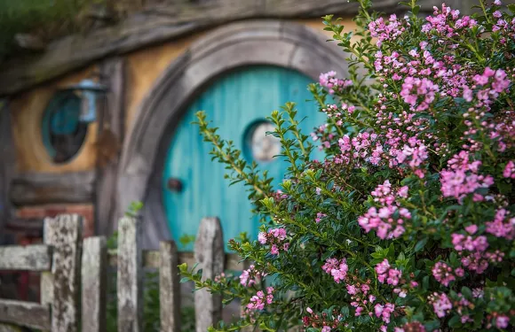 奧克蘭出發霍比屯電影外景地遊覽及懷託摩洞穴小型旅行團