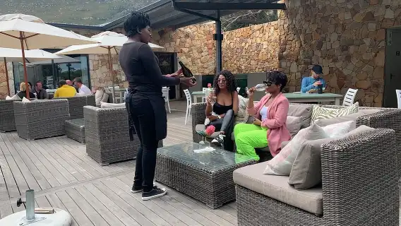 Kirstenbosch Botanical Gardens and Constantia Wine Tasting Tour.