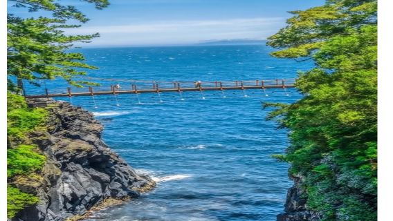 日本東京出發大室山+城崎海岸+伊豆觀海列車+伊豆仙人掌動物園