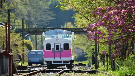 1-day tour of Takachiho Gorge, Amaterasu Railway, and Amanoyasukawara in Miyazaki, Kyushu, Japan