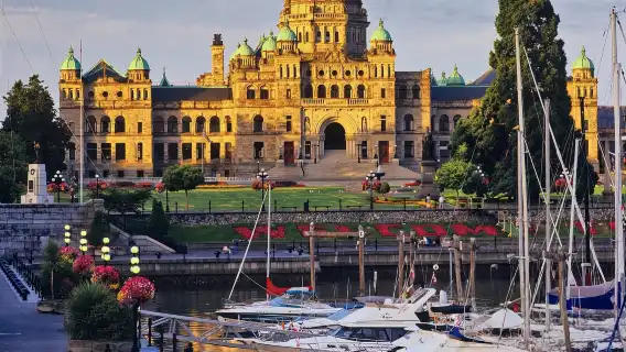 加拿大全境 專業翻譯|地陪|商務翻譯|展會翻譯|陪同拜訪|中英語翻譯