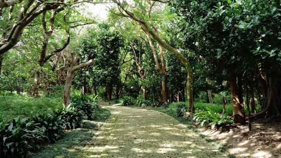 Okinawa: Tham quan có hướng dẫn viên tại Vườn Hoàng gia Shikinaen – Di sản UNESCO