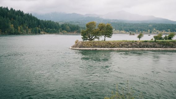 Portland: Columbia River Gorge Waterfalls Afternoon Tour