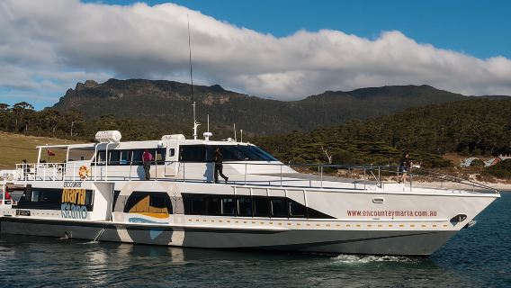 Hobart: Maria Island National Park Active Full-Day Tour