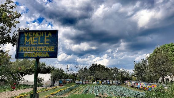 Venezia: Bike Tour Miele e carciofi sull'isola di Sant'Erasmo