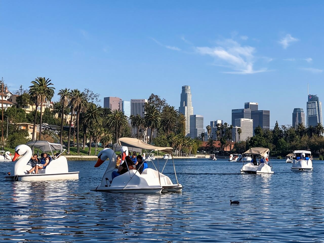 Echo Park Lake: Swan Pedal Boat Rental