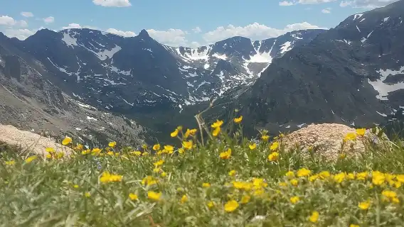 Denver: Rocky Mountain National Park Tour with Picnic Lunch