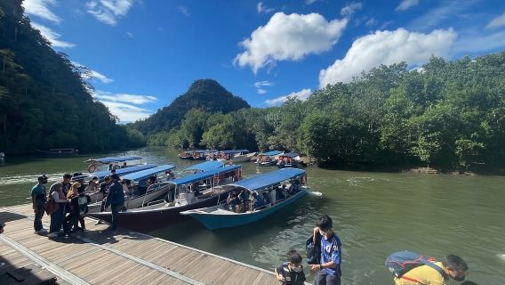 Langkawi Mangrove : Sharing Boat 3Hour estimated (lunch)