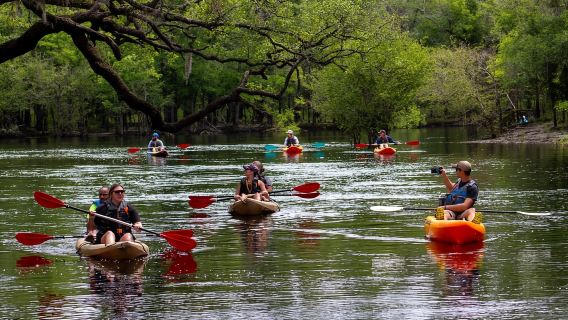 Миртл-Бич: тур на каяках по реке Уоккамо