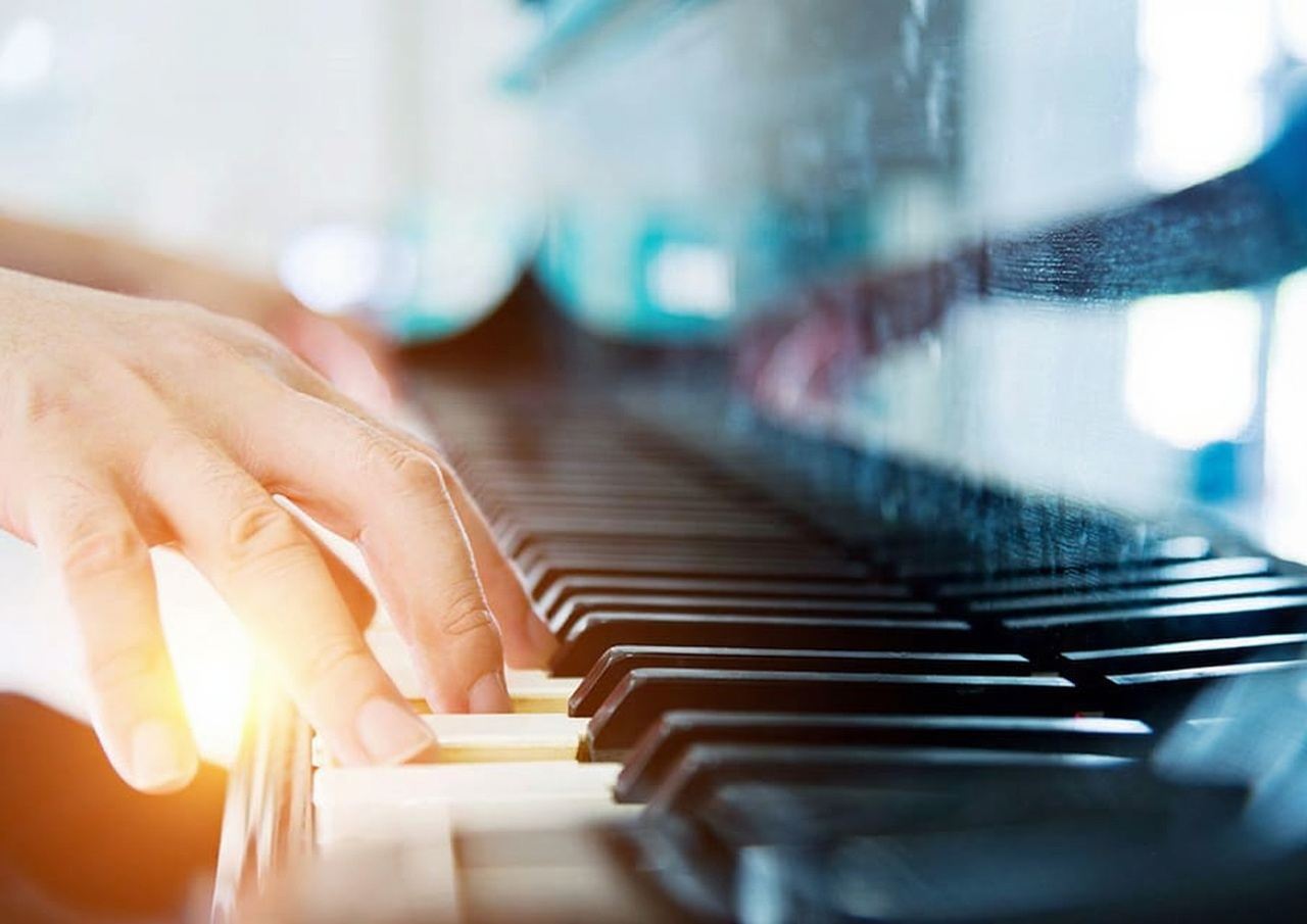 시드니 하버: 라이브 음악과 함께하는 3시간 런치 크루즈