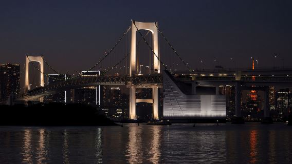 Luci di Tokyo: tour guidato della baia di Tokyo, Ginza e Shinbashi