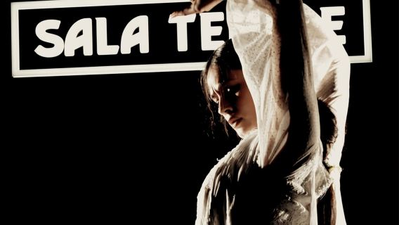 Madrid: Espectáculo flamenco en Tablao Sala Temple con bebida