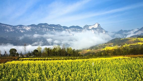 恩施土家族苗族自治州騰龍洞風景區+恩施梭布埡設施+屏山峽谷導遊【一對一服務不拼團單獨包團親子