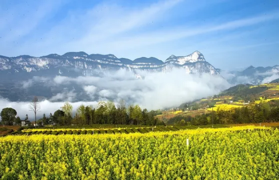 恩施土家族苗族自治州騰龍洞風景區+恩施梭布埡石林景區+屏山峽谷景區講解【一對一服務不拼團獨立包團親子