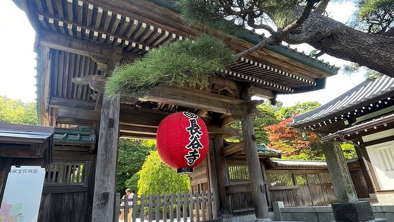 鎌倉：大仏、寺院、文化体験 | Trip.com