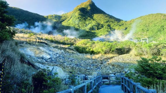 Tokio|Ōwakudani + Hakone-Yumoto-Onsen + Gora-Park + Hakone-Seilbahn Geteilte Tour