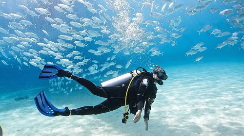 Dubai ScubaDive.ae + Jumeirah Beach diving experience scuba diving 0.5h [Dubai scuba diving experience] 9