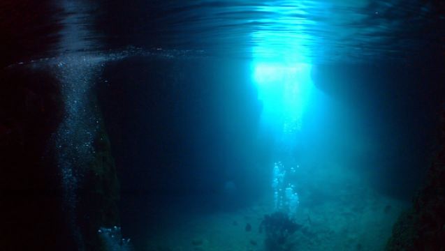 沖縄　武藤潜水