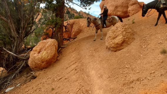 Thunder Mountain Trail: Pferderitt mit Panoramablick