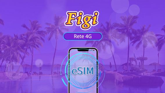 Fiji | eSIM 4G | Pacchetto giornaliero/dati | Supporta TikTok e ChatGPT | Addebito ogni 24 ore | 1-30 giorni | Codice QR