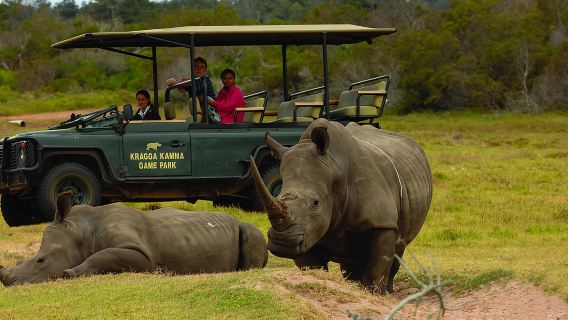 2hr Guided Game Drive at 10h00; Kragga Kamma Game Park Ticket