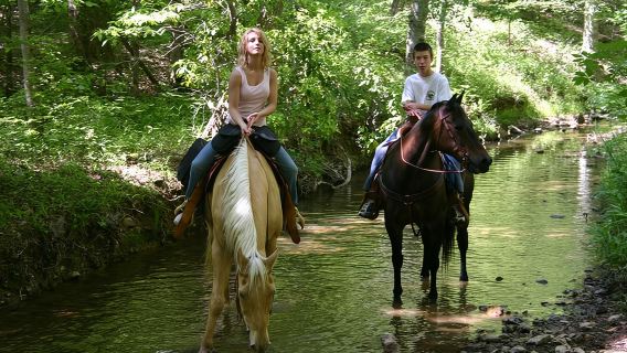 Horse Riding Experience in Marmaris with Transfer