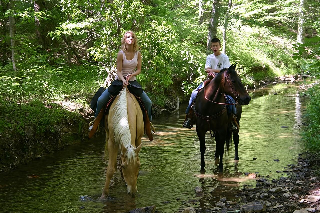 Horse Riding Experience in Marmaris with Transfer