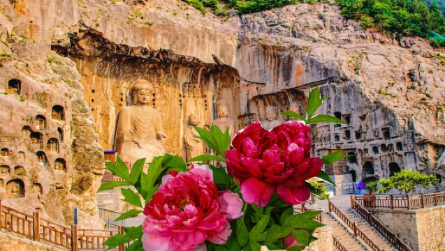 洛陽龍門石窟+神州牡丹園+白馬寺一日遊【精品小團+導遊精講】