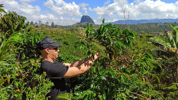 Guatapé & Coffee farm, all in one day