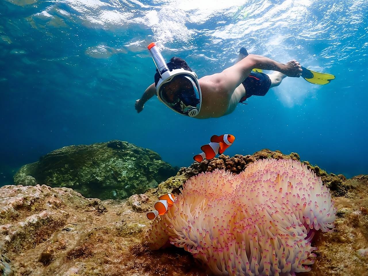 From Bangkok: Nemo Island Experience with Drone Photos and Lunch at Seaside Restaurant