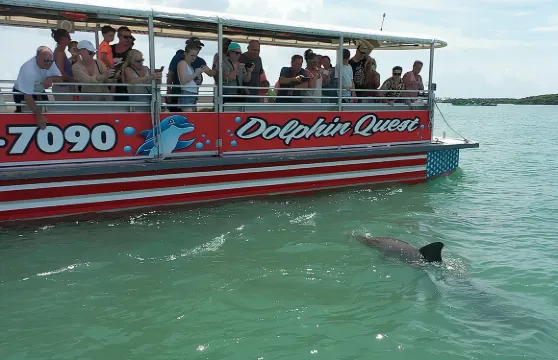 佛羅裡達州馬德拉海灘約翰遜通道海豚觀賞/生態遊船