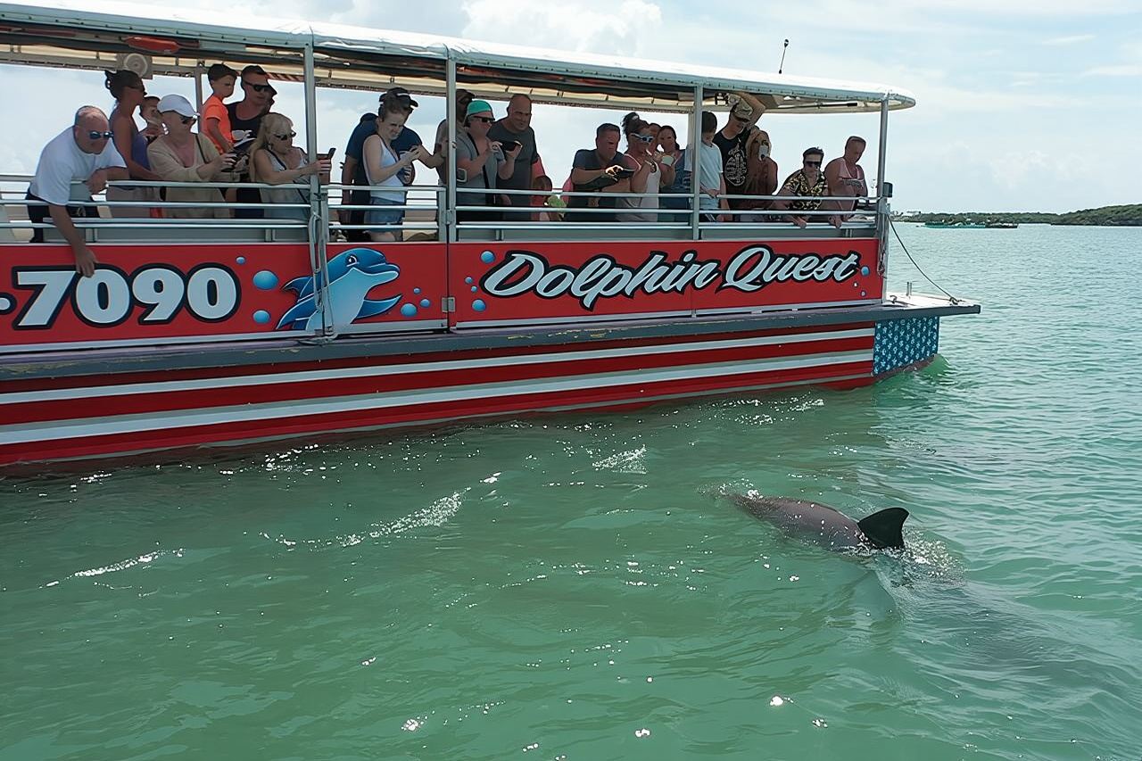 Dolphin Watching/Eco Cruise, John's Pass, Madeira Bch, FL 