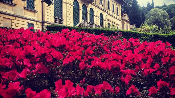 Visit to Tenuta Bossi dei Marchesi Gondi with 3 wine tastings