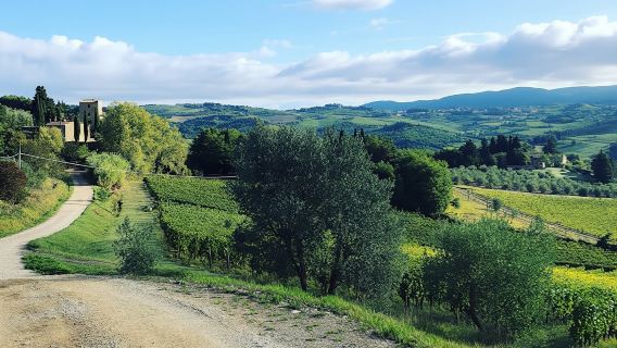Small-group hike and wine tasting in Chianti with lunch