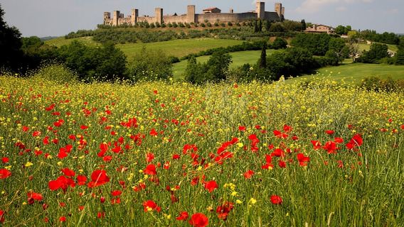Hike from Siena to Monteriggioni with Wine Tasting