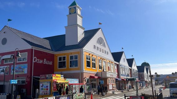 日本東京出發丨熱海陽光海濱公路&城崎海岸＆伊豆大室山一日遊