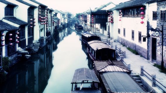 Gita di un giorno nella città d'acqua antica|Passeggia per Wuzhen e assapora il cibo di strada locale