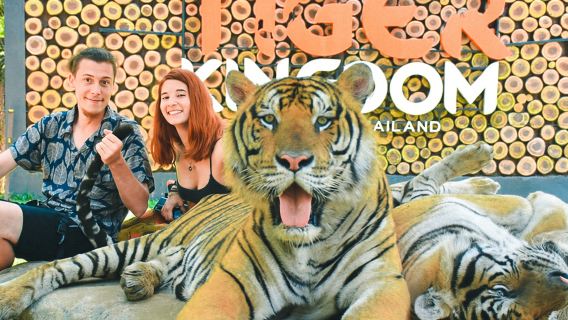 เชียงใหม่ เน็ตไอดอล ปีนผาน้ำตก กีฬาปีนป่าย+ ทัวร์ครึ่งวัน อาณาจักรเสือ เลือกแบบครอบครัว