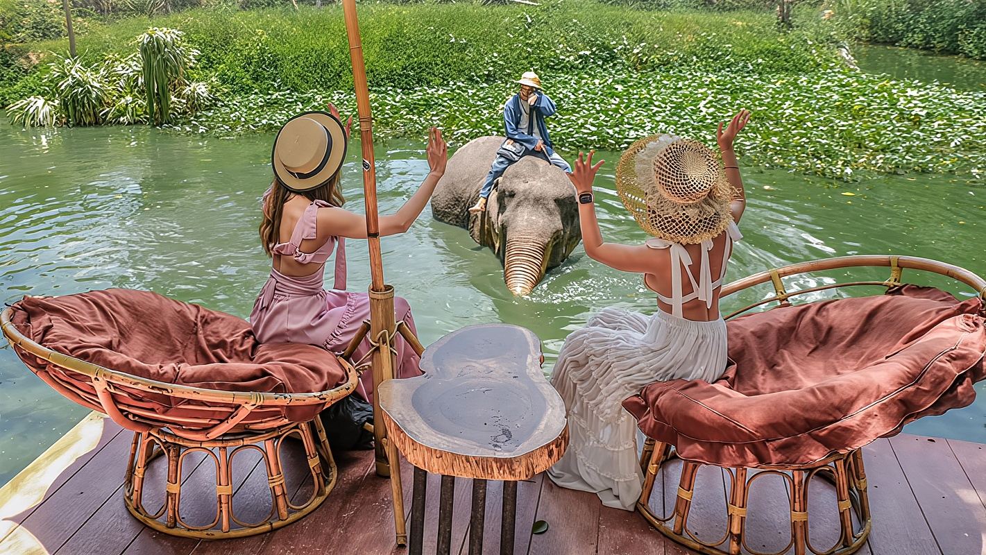 ทัวร์ 1 วันหมู่บ้านช้างพัทยา ประเทศไทย คาเฟ่ Mongchang